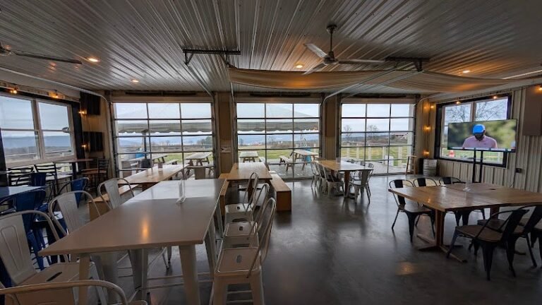 2077 442e4d5b33ea 768x432