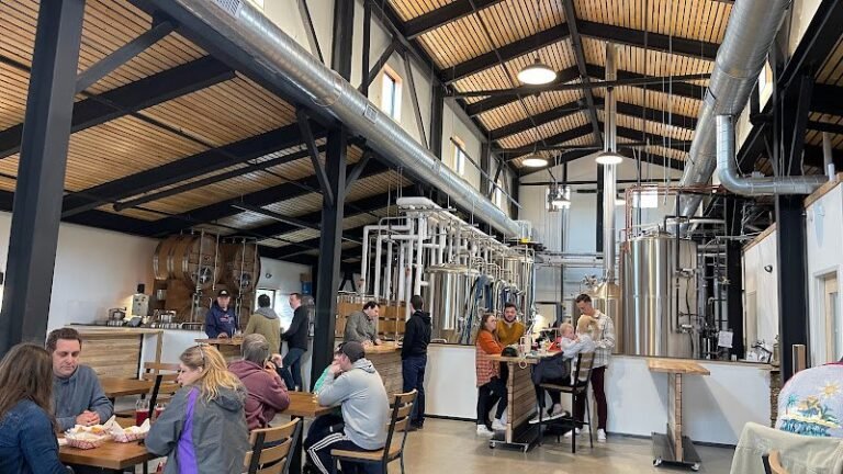 3031 d1a16d6250a4 768x432