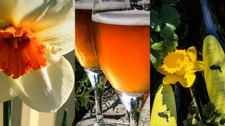 5250 ee4ec763cfe3 768x432