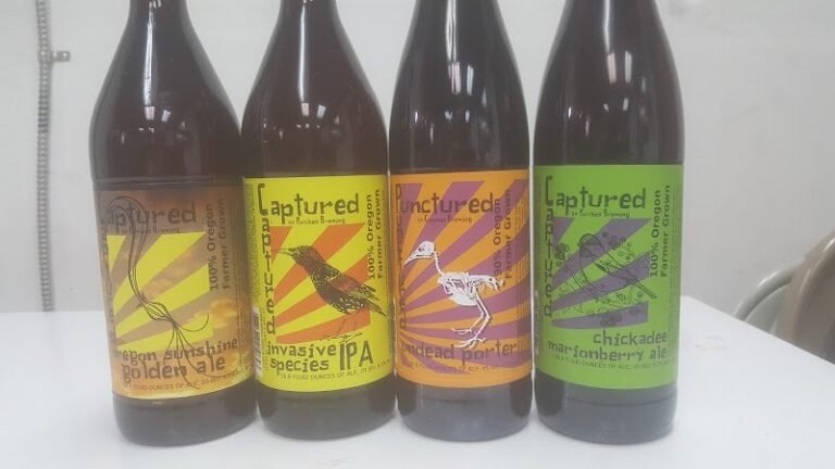 6799 4ef1a911d3dd 768x432