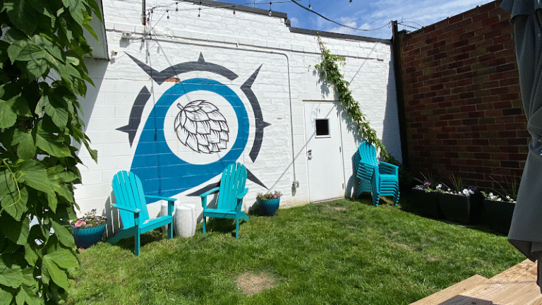 6896 e8ee568beb51 768x432