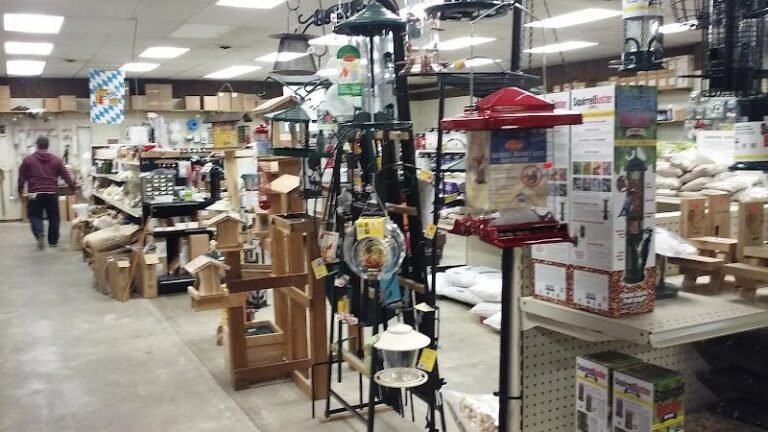 7900 44f991d2ff62 768x432