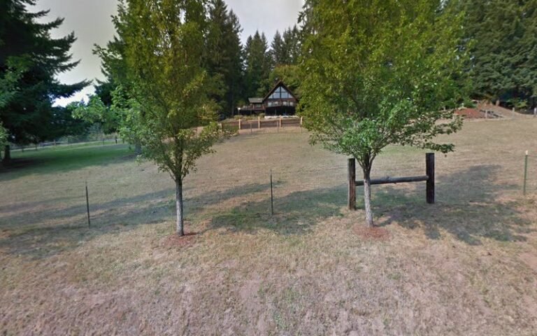 797 17aa3af0e0b2 768x480